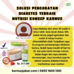 0853 1605 1561 HASIL NYATA Obat Untuk Diabetes Melitus Tipe 2 Yang Bagus Dan Aman Nutrisi Karnus Siap Kirim Jakarta Timur