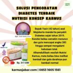 0853 1605 1561 TERBAIK Obat Untuk Diabetes Tipe 2 Yang Bagus Nutrisi Konsep Karnus Bisa dikirim Garut Jawa Barat