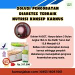 0853.1605.1561 PALING BAGUS Obat Gula Diabetes Melitus Tipe 1 Dan 2 Terbaik Paket Nutrisi Karnus Siap Kirim Teluk Bintuni Papua Barat