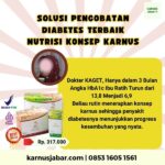 0853.1605.1561 HASIL NYATA Obat Gula Diabetes Melitus Tipe 2 Di Apotek Nutrisi Konsep Karnus Siap Kirim Lampung Timur Lampung